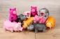 Preview: Borstenschwein Hundespielzeug